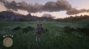 Инструменты для обработки кожи | RDR 2 прохождение #3