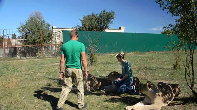 Фото среди львиц !'Я узнаю ваш голос ...Это не я !' :)) смотреть онлайн