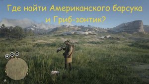 RDR2 где найти Американского барсука, Гриб зонтик РДО