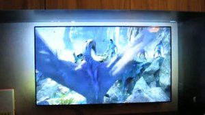 Philips 55PFL8008S