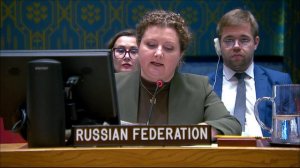 Statement by DPR Anna Evstigneeva at a UNSC Briefing on the Central African Republic