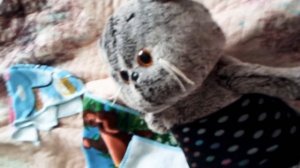 Басик и Миша ! День Басиков !Миша разбудил Басика в 7 утра !😨