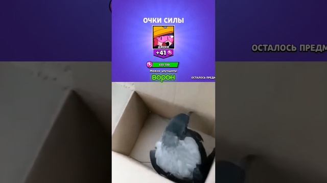 ворон выпал #бравлстарс #brawlstars #youtube #ворон #funny #реакция