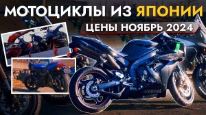 ПРИВЕЗЛИ ТОПОВЫЕ МОТОЦИКЛЫ ИЗ ЯПОНИИ❗️ РАЗГРУЖАЕМ КОНТЕЙНЕР❗️ HARLEY, SUZUKI, YAMAHA, HONDA