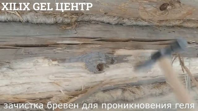 Уничтожение короеда. Препаратом Xilix Gel. С гарантией 10 лет.