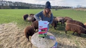 Распаковка электропастуха Olli 450 B PLUS