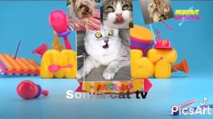 заставка на Sonya cat tv (20.09.2021).заставка мульт и музыка (17.19.2020).