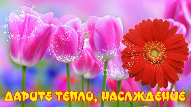 Доброе утро, хорошего дня и отличного настроения