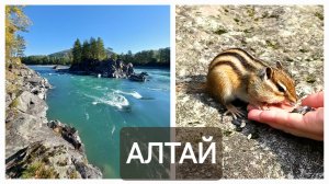 По Алтаю на машине