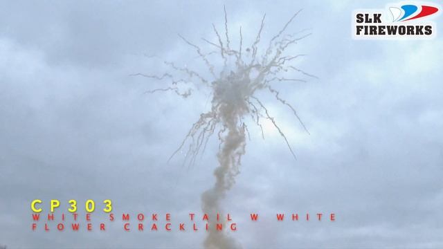 CP 303 W WHITE smoke tail with WHITE flower crackling mine burst salute 1,2" 60 Зарядов 3/1 смотреть онлайн