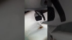 химчистка авто парогенератором kerher