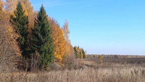 Эх, дорога - А.Незнамов.
