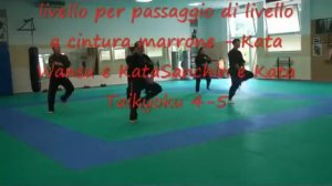 Kaizen Martial Arts Italia esami Ryukyu Kempo Karate.avi