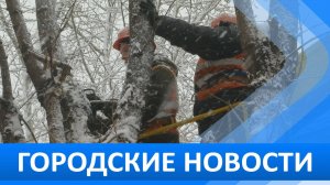 Городские новости 31 октября 2024