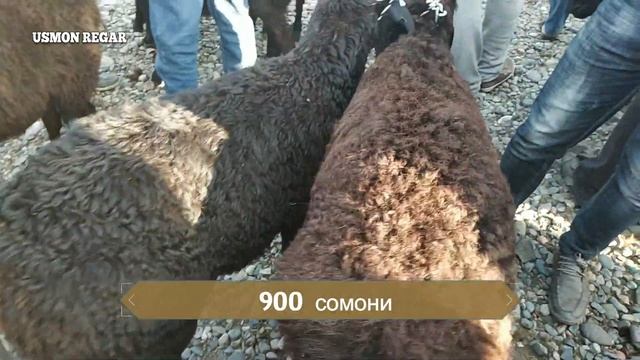пайшанбе бозор шахринав чептура не пропустите