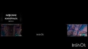 Сборник видео в одном экране №1. Collection videos in one screen №1.