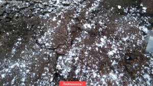 Как избавиться от муравьёв! 100% способ! Самое простое и эффективное средство от муравьёв.