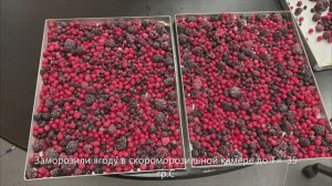 Сублимированная ягода