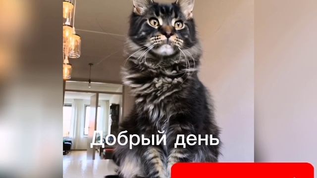 Добрый день
