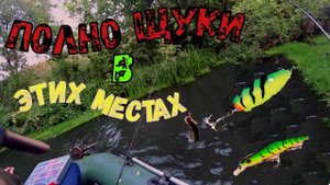 Море щуки клюёт на всё подряд мы в шоке.#морещуки#рыбалка#клюётнавсё#спиннинг#