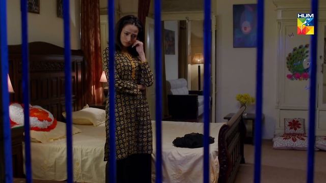 Jo Tou Chahay Episode 14 HUM TV Drama 7 November 2019 смотреть онлайн