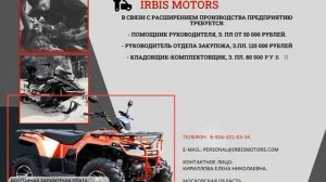 Актуальные вакансии IRBIS MOTORS, ноябрь 2024