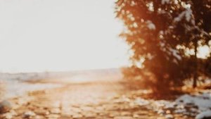 Семейные отношения - История из жизни