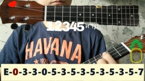 Разбор песни "БУМЕР-МОБИЛЬНИК" на укулеле