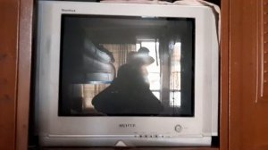 2003 Samsung tv startup and shutdown