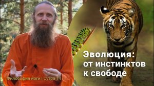 От инстинктов — к свободе выбора. Эволюция разума. | Философия йоги. Сутры на санскрите (№14)