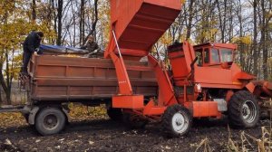 Уборка семенной кукурузы - 2022