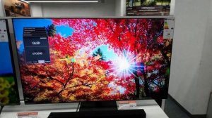 Samsung QE-65Q80B