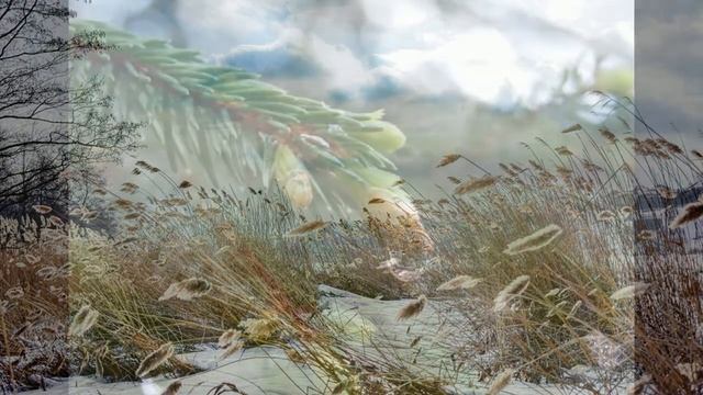 Ф.И.Тютчев "Ещё земли печален вид". смотреть онлайн