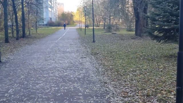 Молитва первого эзотерика россии мирозданиям, всему и вся. 1.11.2024 смотреть онлайн