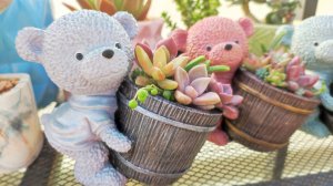 Новый молд для заливки из гипса! Кашпо для суккулентов своими руками, пошаговое видео.
