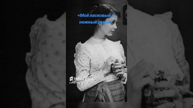 Галина Беляева