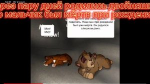 /Король Лев/История Зиры (заказ от Tama TV 7,МОЯ ВЕРСИЯ!).
