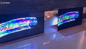 Philips 65OLED805 Vs OLED65CX   Comparison Test