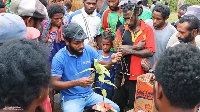 EU FUNDED UN JOINT STREIT PNG PROGRAMME смотреть онлайн