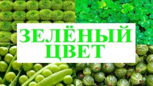 Изучаем цвета _ ЗЕЛЕНЫЙ цвет _ Обучающий и развивающий мультик для детей _ Слушать онлайн