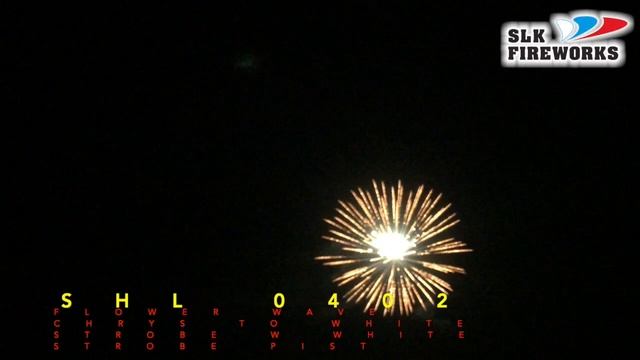 4" SHL0402 FLOWER WAVE CHRYS TO WHITE STROBE W WHITE STROBE PISTIL смотреть онлайн