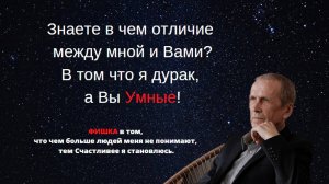 Чем тупее - тем успешнее! Дмитрий Салимов. #прогулкисЧемпионом