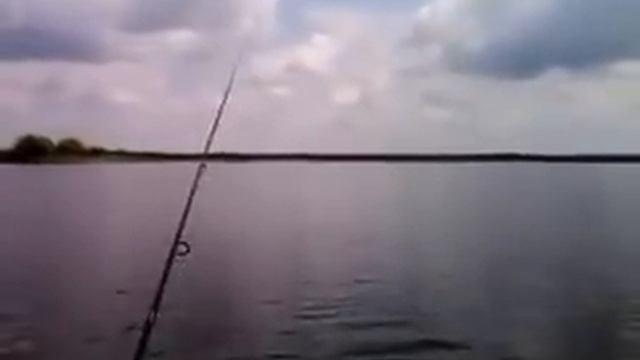 Ловля рыбы на "съедобный"))))) свинец. смотреть онлайн