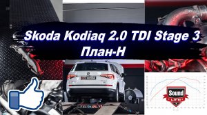 Skoda Kodiaq 2.0 TDI Stage3 План-Н