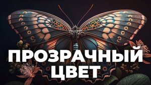 Структурная окраска цвет без пигментов и красителей