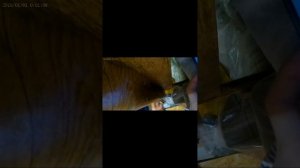 очень крутой влог "жизнь в деревне"