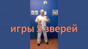 Утренний цигун 1.11.2024 #цигун #оздоровительныйцигун #цигунонлайн