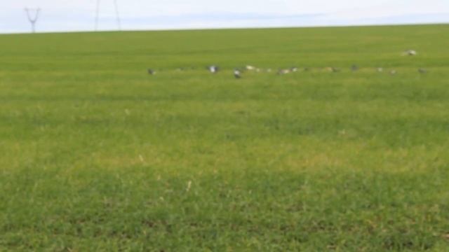 Релакс. Зона комфорта. смотреть онлайн