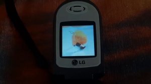 LG C1150 Battery Empty