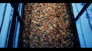 Паша Леонидов - Осень (Лицей кавер)